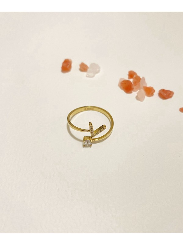 Bague en acier inoxydable R110