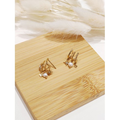 Boucles d'oreilles acier inoxydable E244