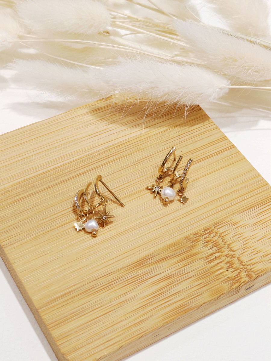 Boucles d'oreilles acier inoxydable E244