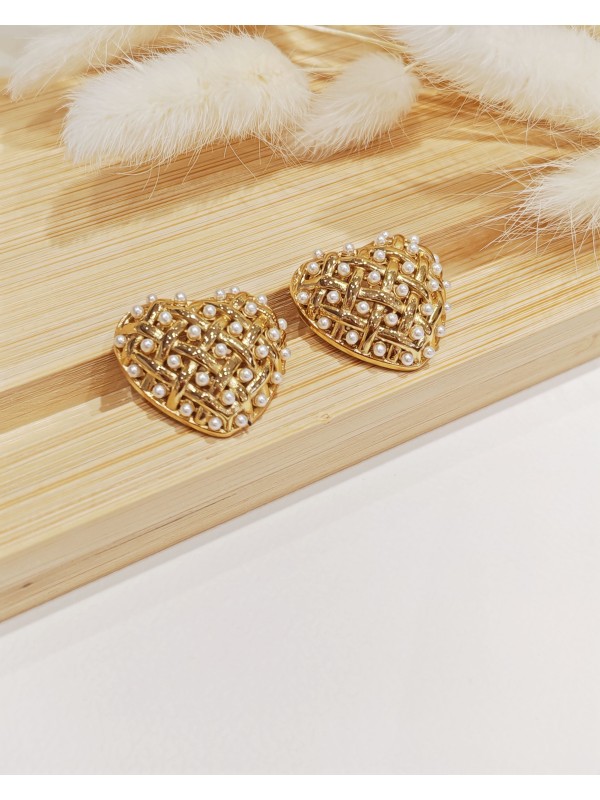 Boucles d'oreilles acier inoxydable E250