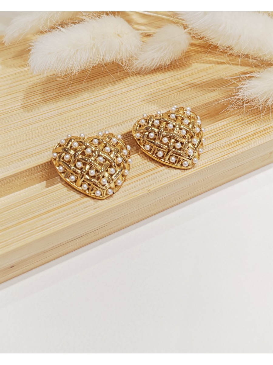 Boucles d'oreilles acier inoxydable E250