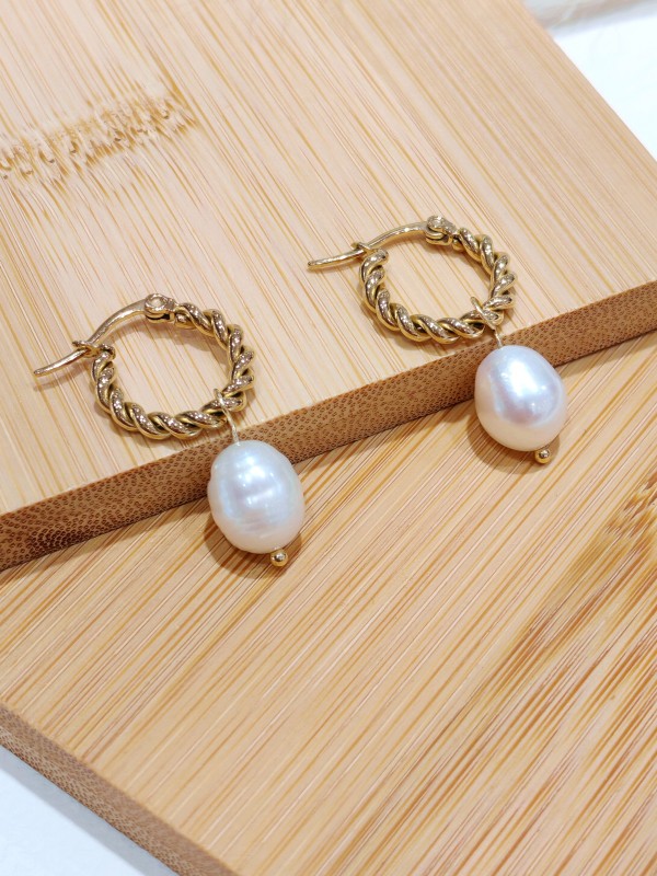 Boucles d'oreilles acier inoxydable E257