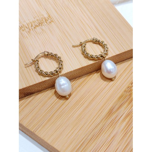 Boucles d'oreilles acier inoxydable E257