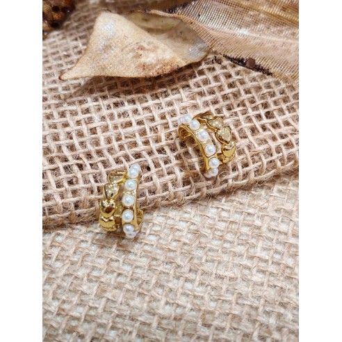 Boucles d'oreilles acier inoxydable E258