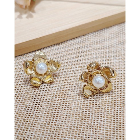 Boucles d'oreilles acier inoxydable E259