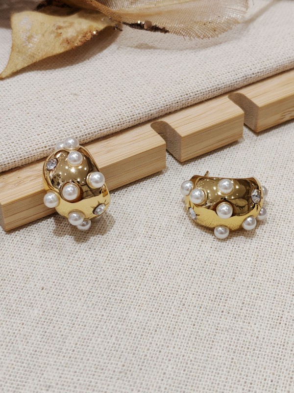Boucles d'oreilles acier inoxydable E262