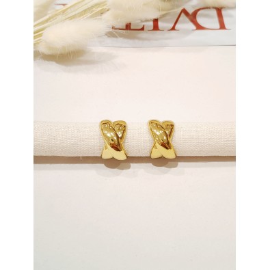 Boucles d'oreilles acier inoxydable E266