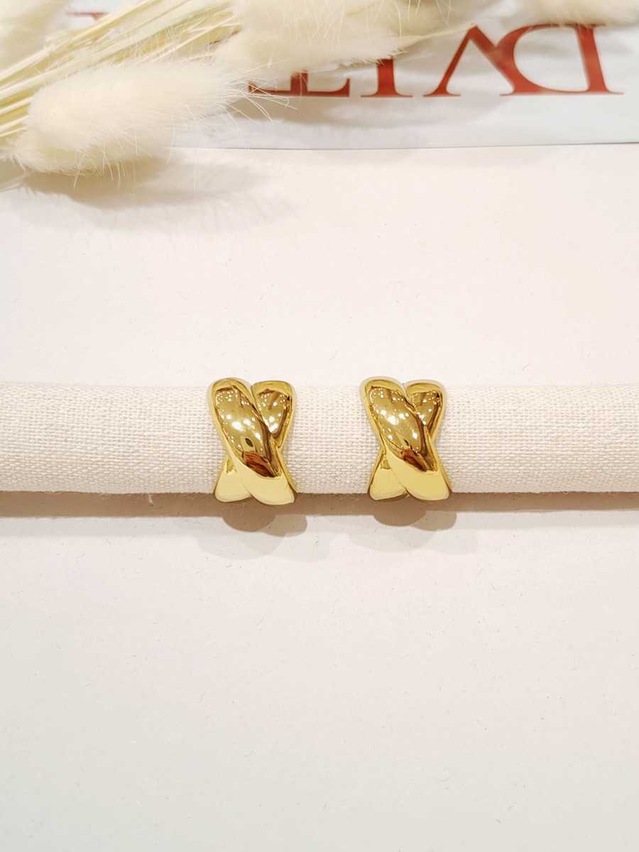 Boucles d'oreilles acier inoxydable E266