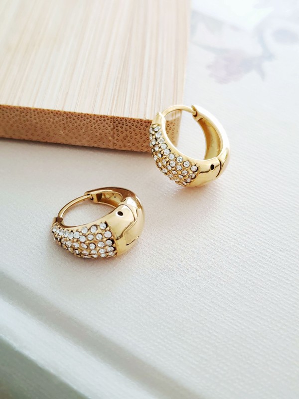 Boucles d'oreilles acier inoxydable E289