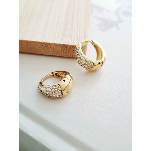 Boucles d'oreilles acier inoxydable E289