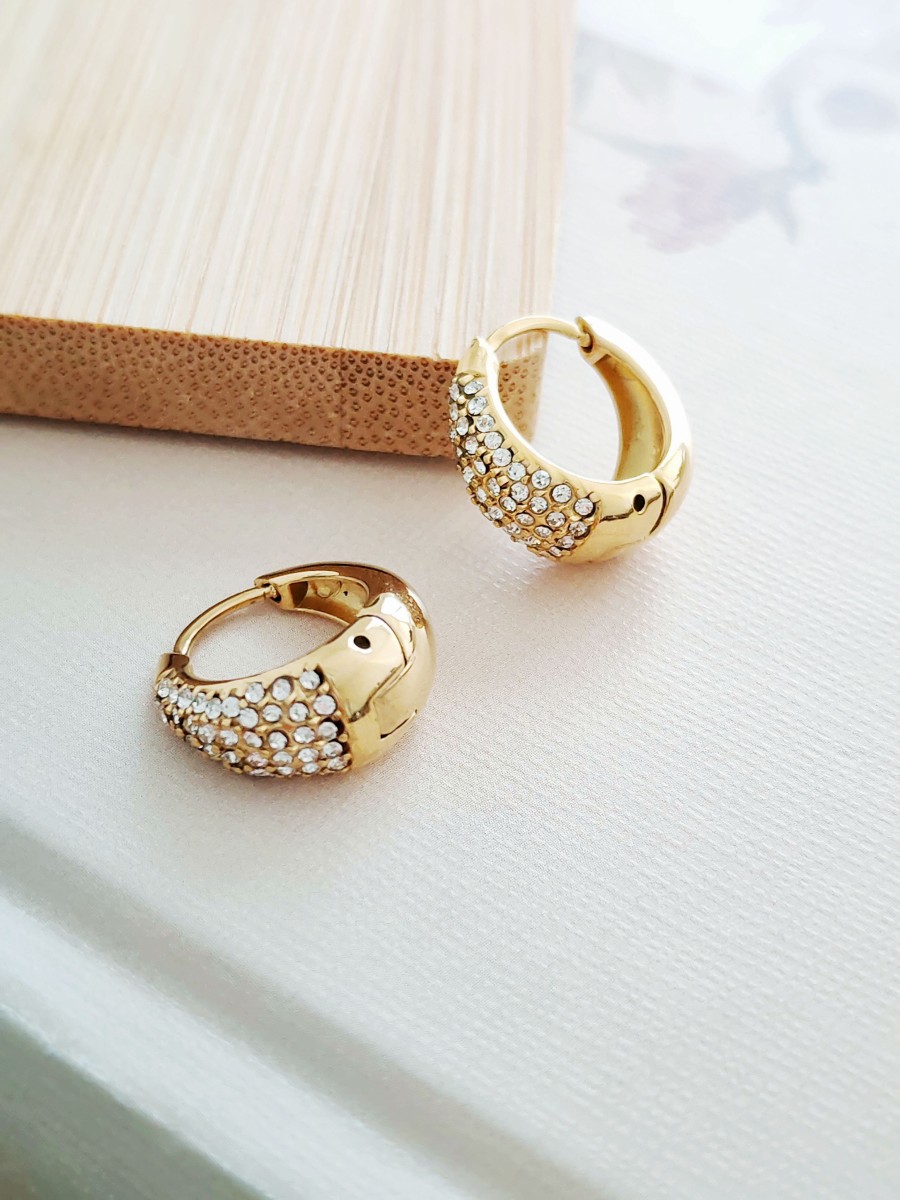 Boucles d'oreilles acier inoxydable E289