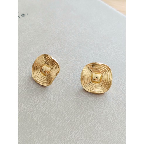 Boucles d'oreilles acier inoxydable E291