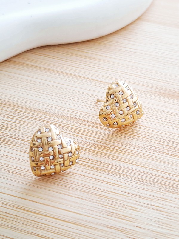 Boucles d'oreilles acier inoxydable E301