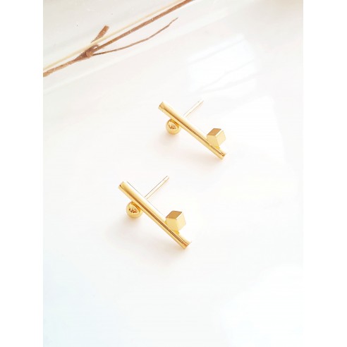 Boucles d'oreilles acier inoxydable E302