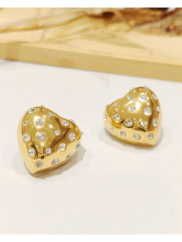 Boucles d'oreilles acier inoxydable E308