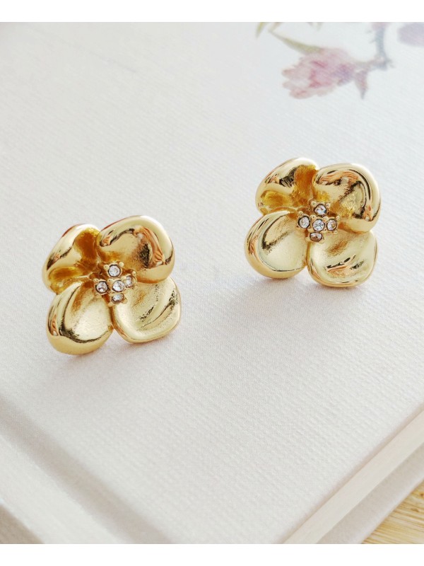 Boucles d'oreilles acier inoxydable E309