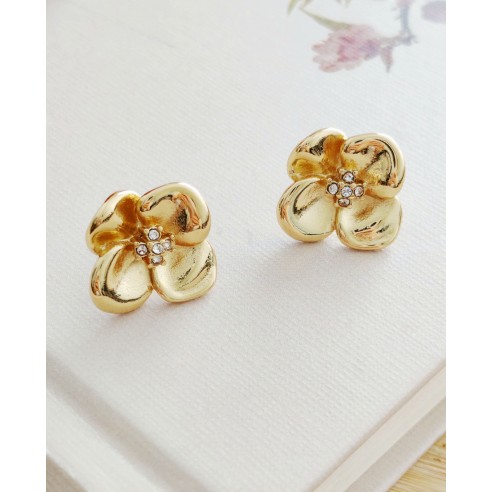 Boucles d'oreilles acier inoxydable E309