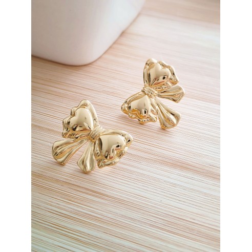 Boucles d'oreilles acier inoxydable E325