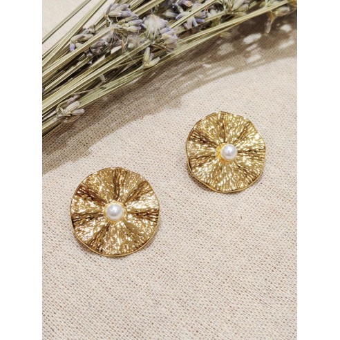 Boucles d'oreilles acier inoxydable E387