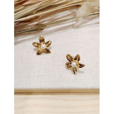 Boucles d'oreilles acier inoxydable E392