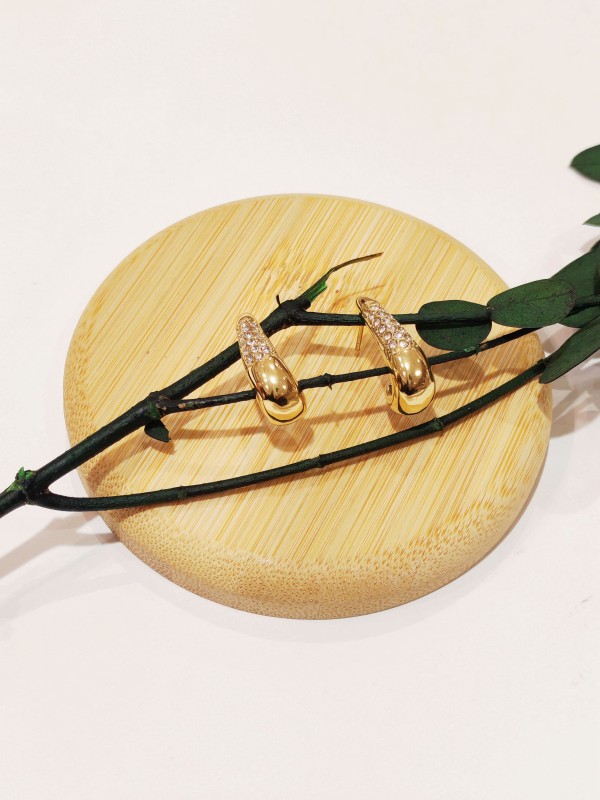 Boucles d'oreilles acier inoxydable E437