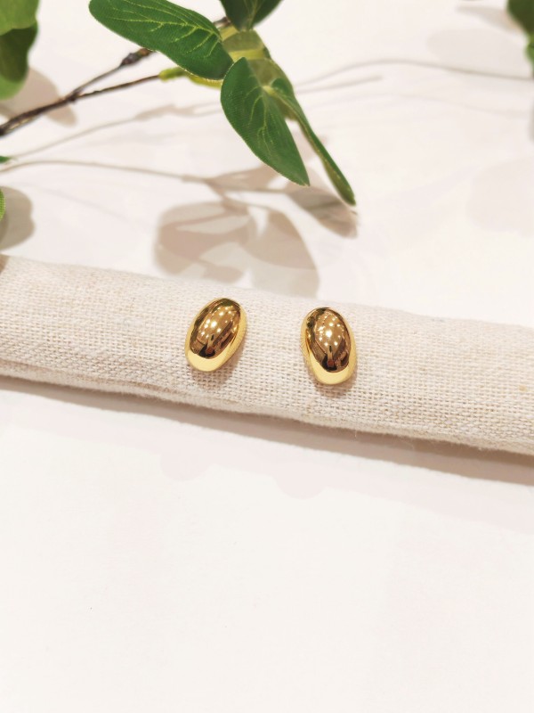 Boucles d'oreilles acier inoxydable E448