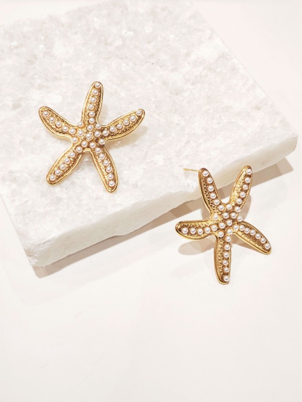 Boucles d'oreilles acier inoxydable E451