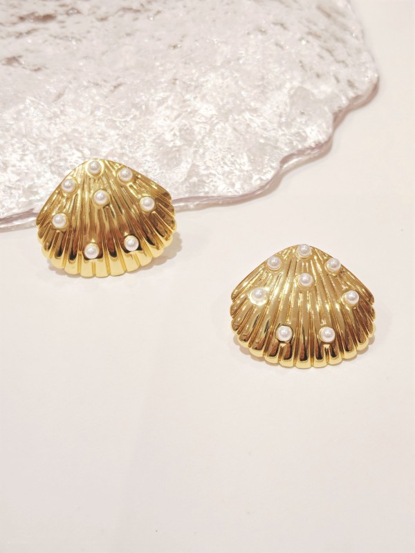 Boucles d'oreilles acier inoxydable E455