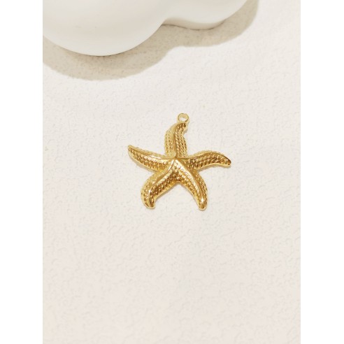 Pendentif en acier inoxydable PC013