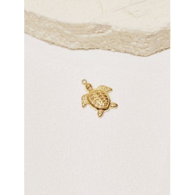 Pendentif en acier inoxydable PC014