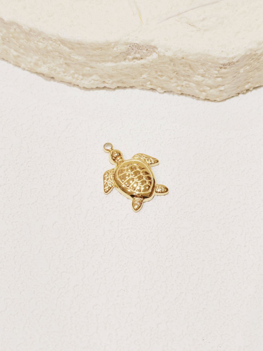 Pendentif en acier inoxydable PC014