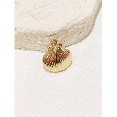 Pendentif en acier inoxydable PC015