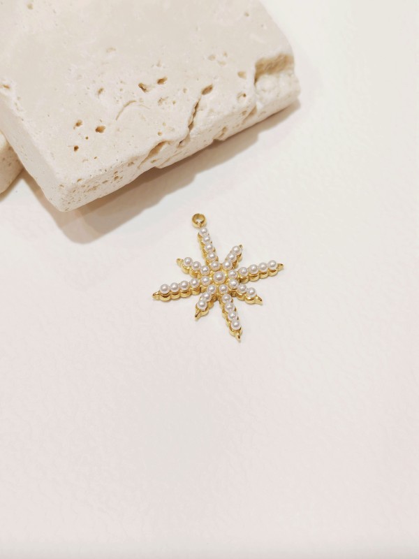 Pendentif en acier inoxydable PC049