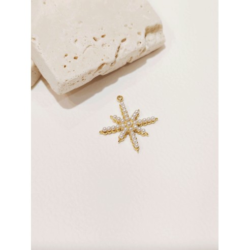 Pendentif en acier inoxydable PC049