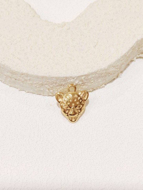 Pendentif en acier inoxydable PC001