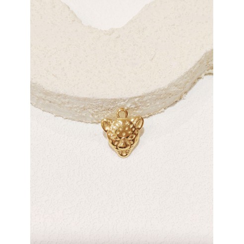 Pendentif en acier inoxydable PC001