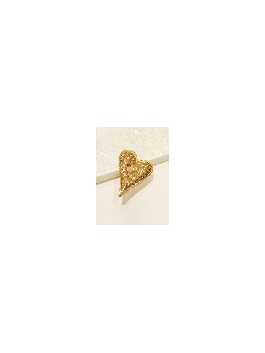 Bague réglable en acier inoxydable R147