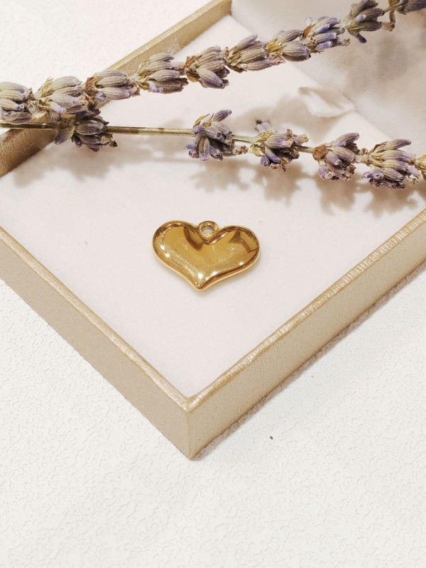 Pendentif en acier inoxydable PC052