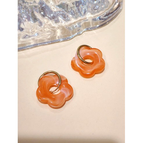 Boucles d'oreilles acier inoxydable et résine E466