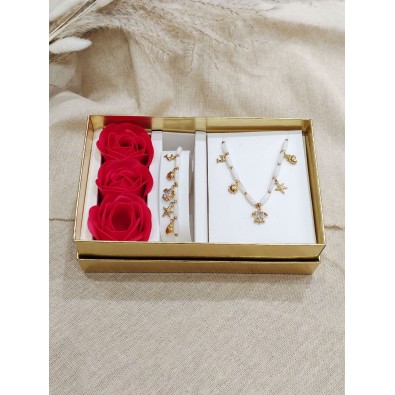Coffret bijoux en acier inoxydable C136