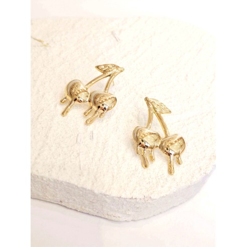 Boucles d'oreilles acier inoxydable E477