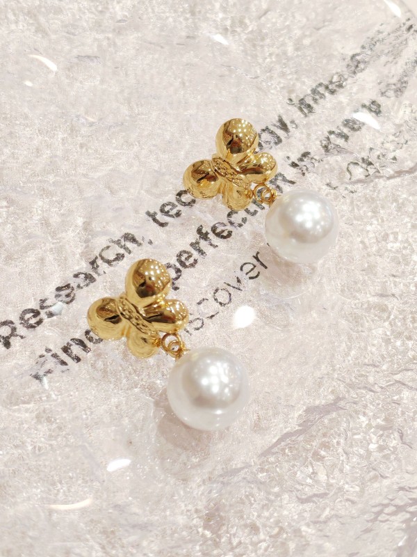 Boucles d'oreilles acier inoxydable E483