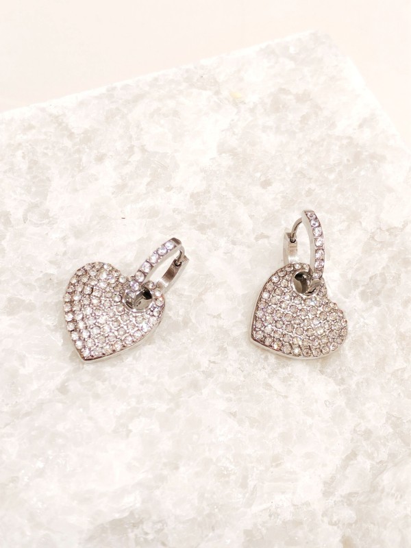 Boucles d'oreilles acier inoxydable E484