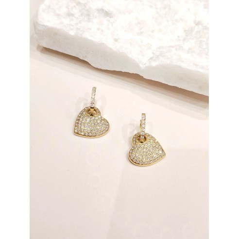 Boucles d'oreilles acier inoxydable E484