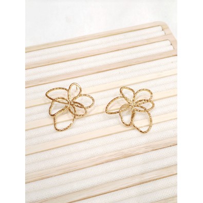Boucles d'oreilles acier inoxydable E487