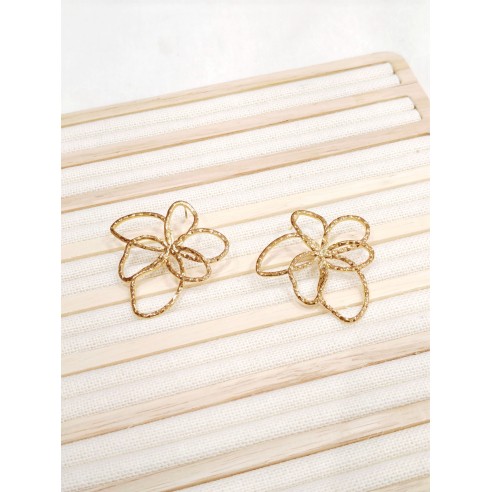 Boucles d'oreilles acier inoxydable E487
