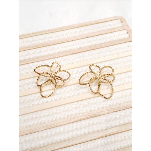 Boucles d'oreilles acier inoxydable E487