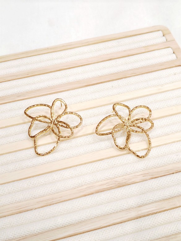 Boucles d'oreilles acier inoxydable E487