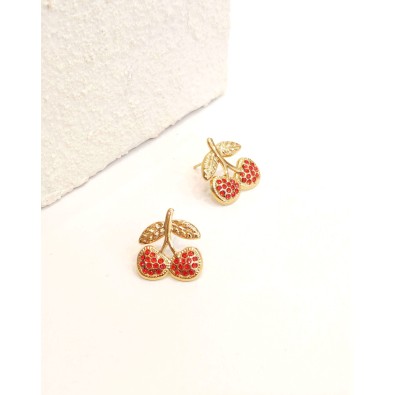 Boucles d'oreilles acier inoxydable E491