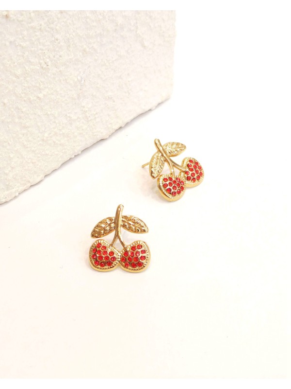 Boucles d'oreilles acier inoxydable E491